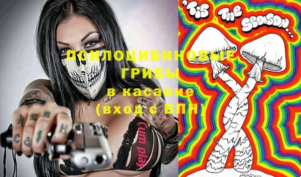 a pvp Абаза
