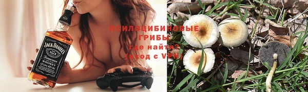a pvp Абаза