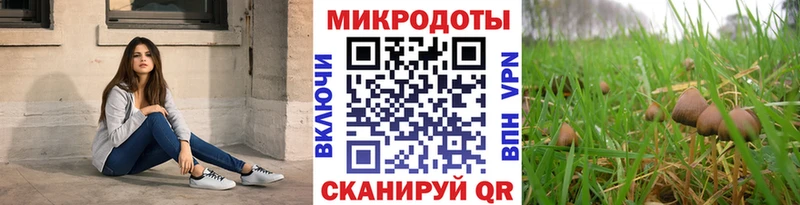 Галлюциногенные грибы мухоморы  где можно купить наркотик  Терек 