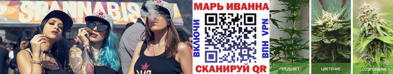 Канабис сатива  где купить наркотик  Терек 